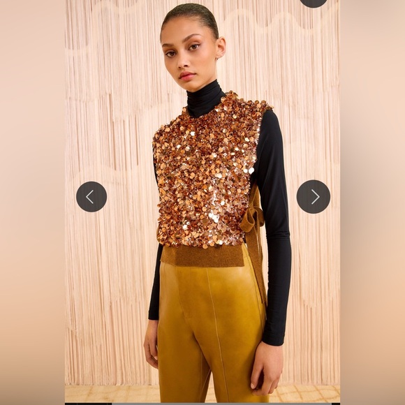 NWT 1299.00 Medium Ulla Johnson Ulla Johnson Cosima Embroidered Cashmere Vest - Picture 3 of 7